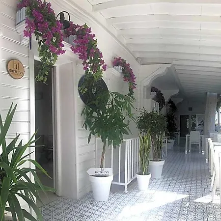Hi Ivy Büyükada